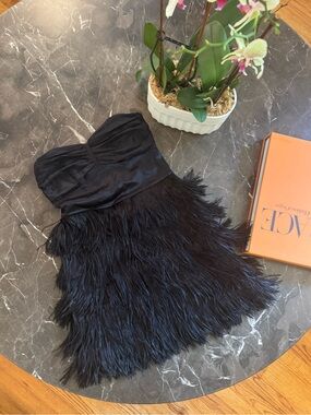Express Strapless Black Feather Party Dress